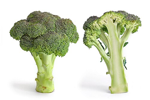 Fresh Broccoli