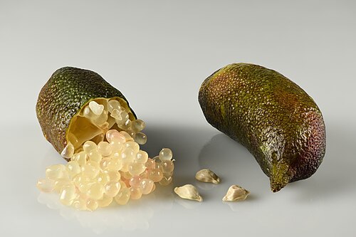 Fresh Finger lime
