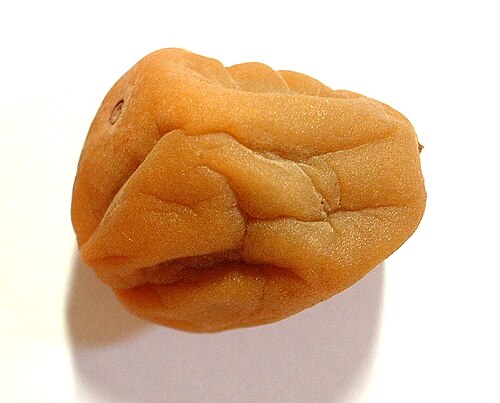 Fresh Sour plum