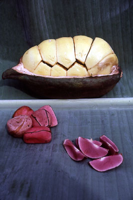 Fresh Kola Nut
