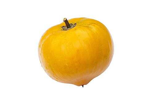 Fresh Canistel
