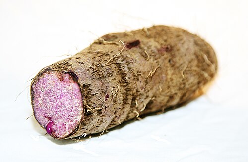 Fresh Water yam / Greater yam