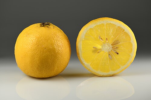 Fresh Bergamot orange