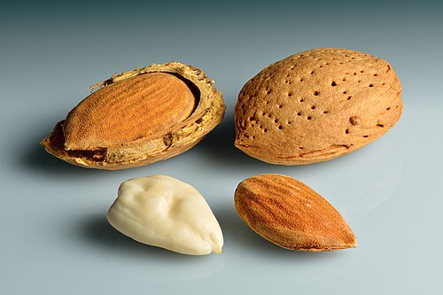 Fresh Almond