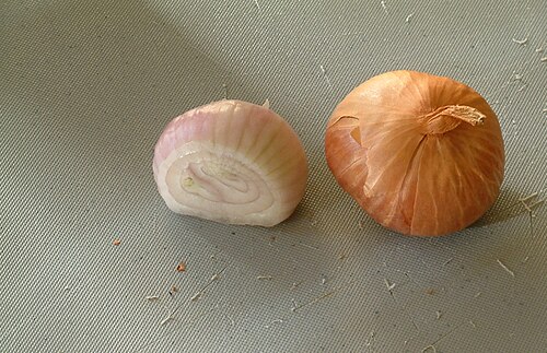 Fresh Shallot