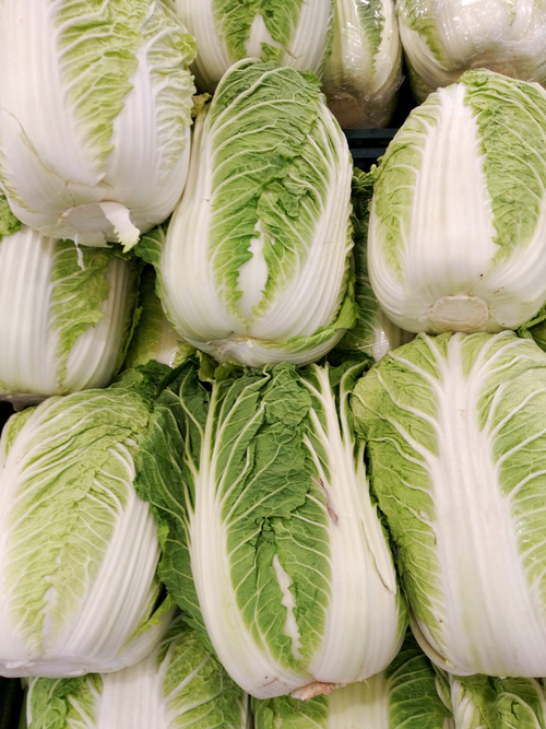 Fresh Napa cabbage