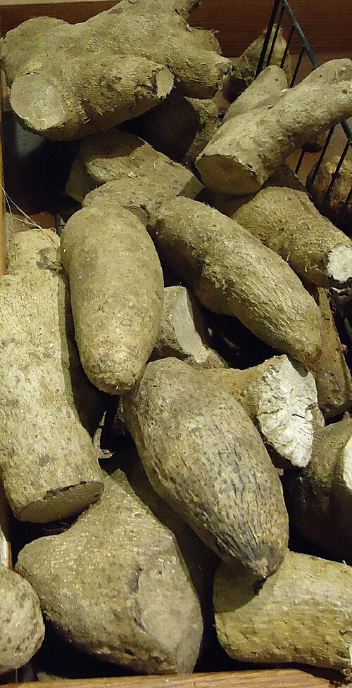 Fresh Yellow Guinea yam