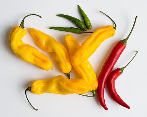 Fresh Chili pepper