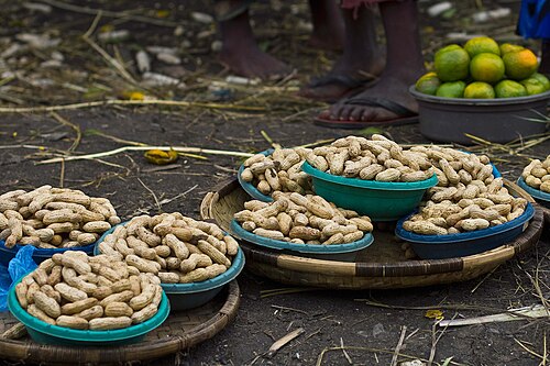 Fresh Kersting's groundnut