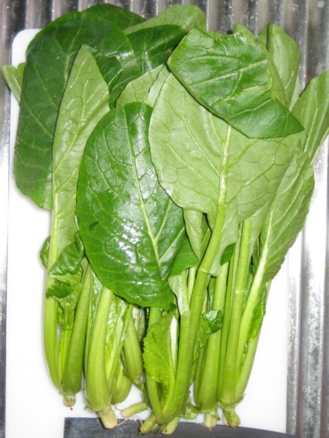 Fresh Komatsuna