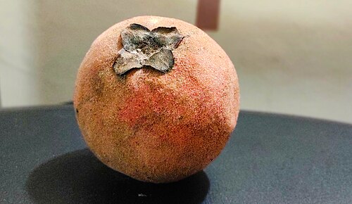 Fresh Velvet apple