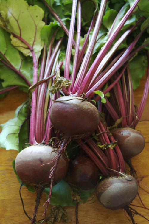Fresh Beetroot