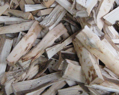 Fresh Agarwood