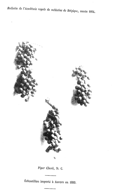 Fresh West African pepper