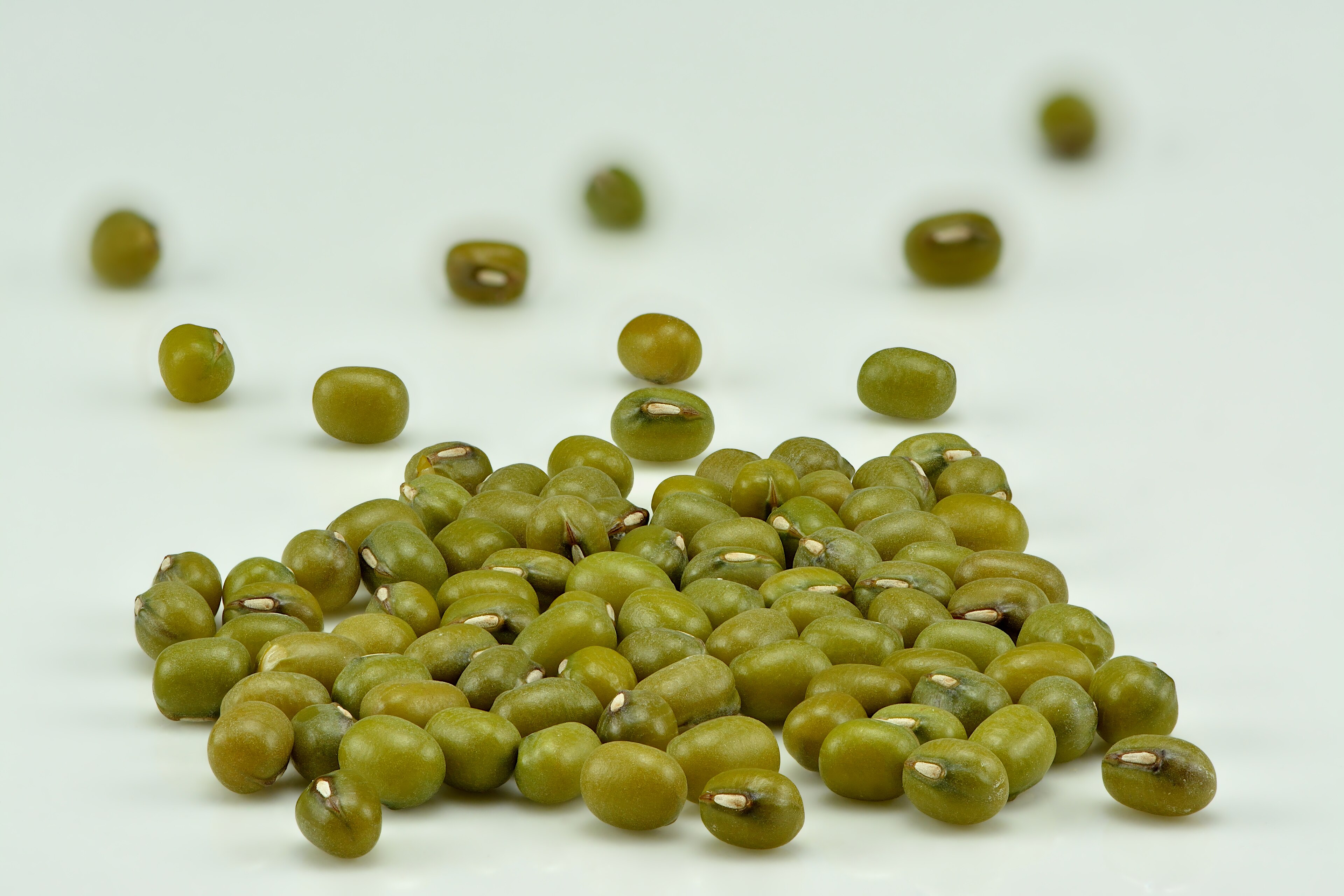 Fresh Mung bean