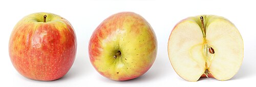 Fresh Apple