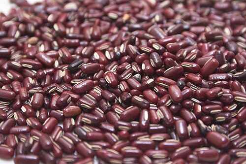 Fresh Rice bean