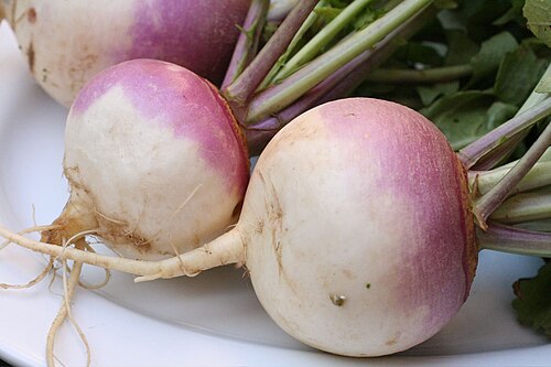 Fresh Turnip greens