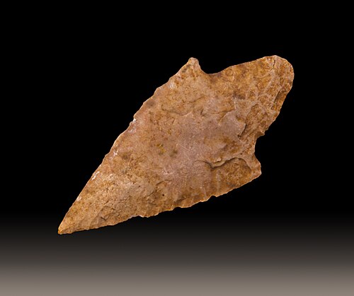 Fresh Arrowhead