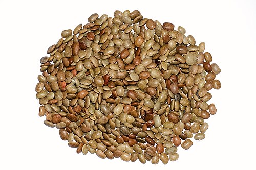 Fresh Horse gram