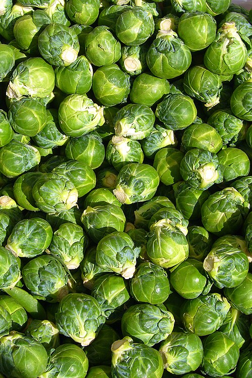 Fresh Brussels sprouts