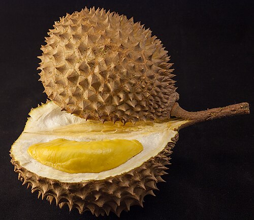 Fresh Durian