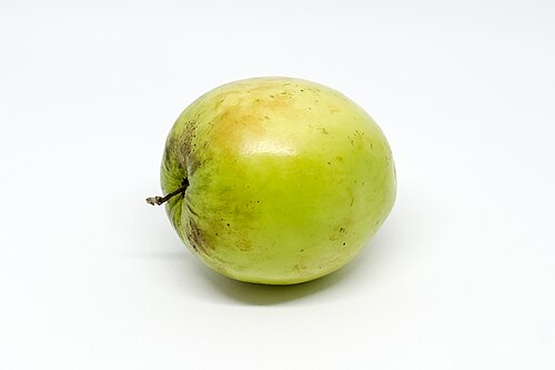 Fresh Indian jujube