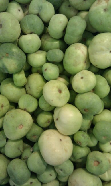 Fresh Round melon (Tinda)