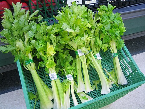 Fresh Celery