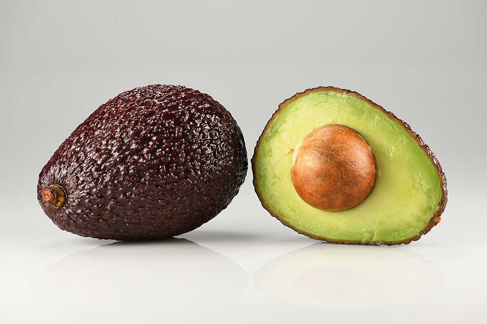 Fresh Export Avocado (Hass)