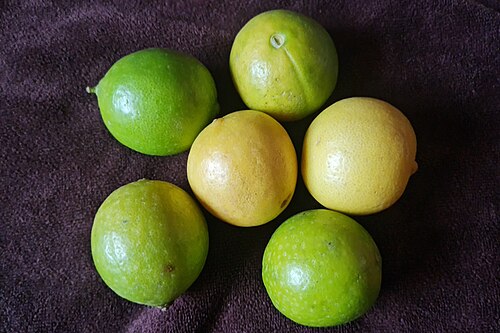 Fresh Key lime