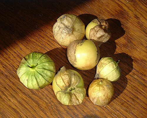 Fresh Tomatillo