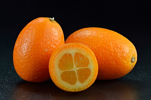 Fresh Kumquat