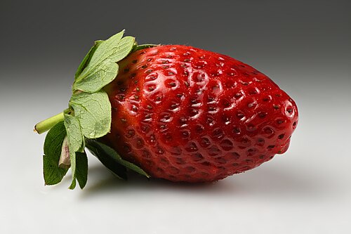 Fresh Garden strawberry
