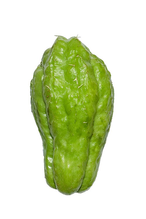 Fresh Chayote